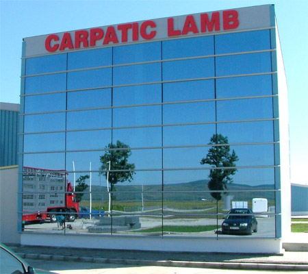CARPATIC LAMB – Buzău